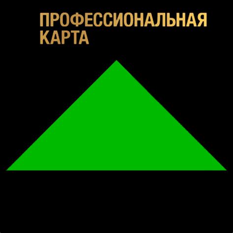 Профессиональная карта
