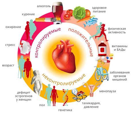 Профилактика сердечно-сосудистых заболеваний
