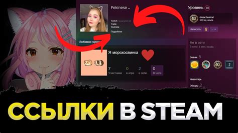 Публикация ссылки в профиле
