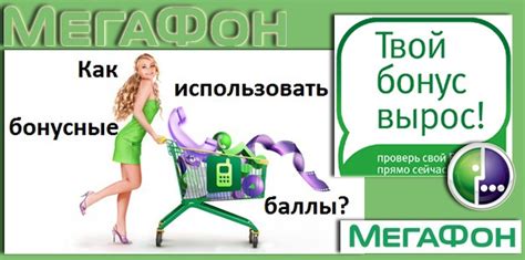 Раздел 4: Провайдер: MegaFon