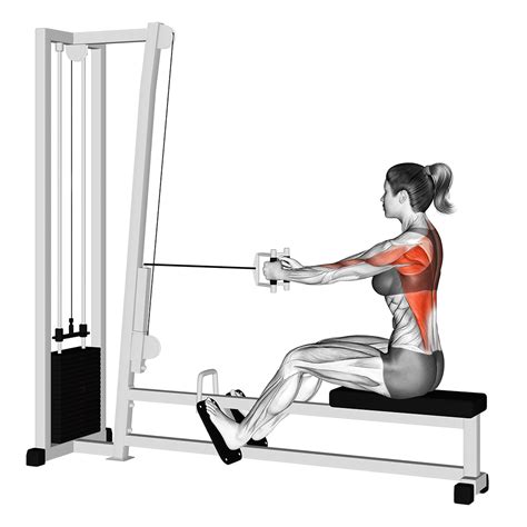 Различные варианты тренировки с seated row