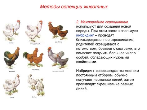Размещение животных и создание их искусственного соживания