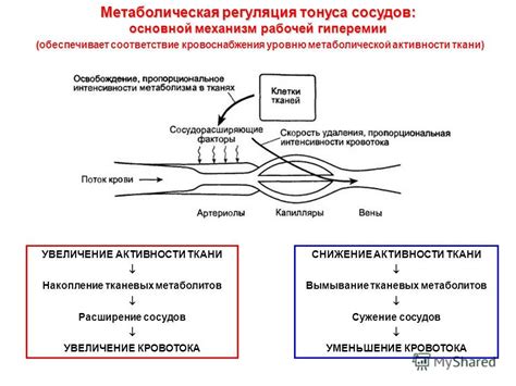 Расширение основной ткани