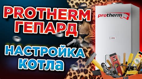 Режимы настройки котла Протерм Гепард 23 МТВ в сервисном меню