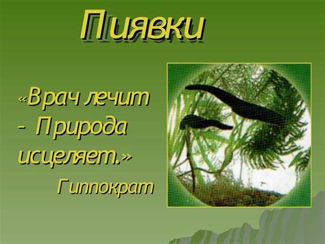 Рекомендации по безопасному удалению пиявки
