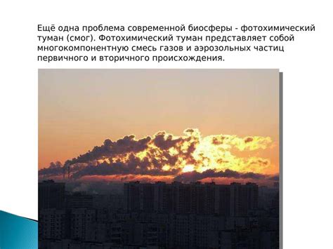 Роль окружающей среды в цветении