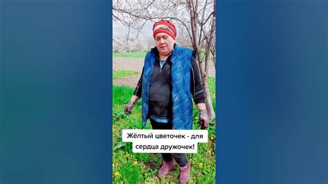 Сборка одуванчика