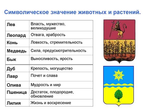Символическое значение «ребра»