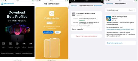 Скачивание и установка iOS 14