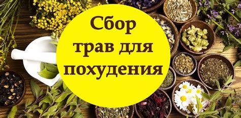 Следует ли использовать народные средства для удаления пиявки
