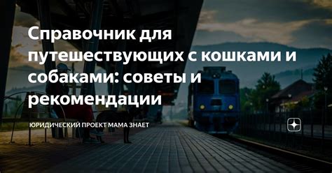 Советы и рекомендации для путешествующих через границу