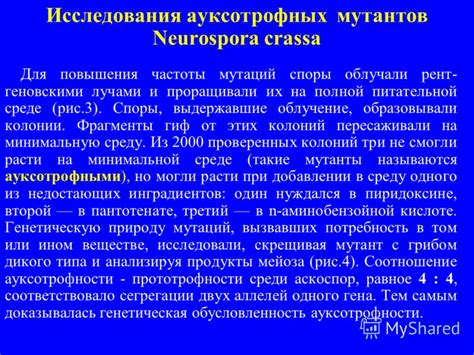 Способы повышения частоты мутаций