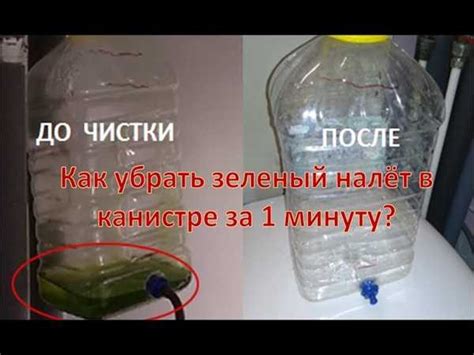 Способы удаления зелени из канистры