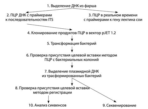 Схема "путешествие и трансформация"