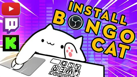 Трансляция с Bongo Cat на OBS