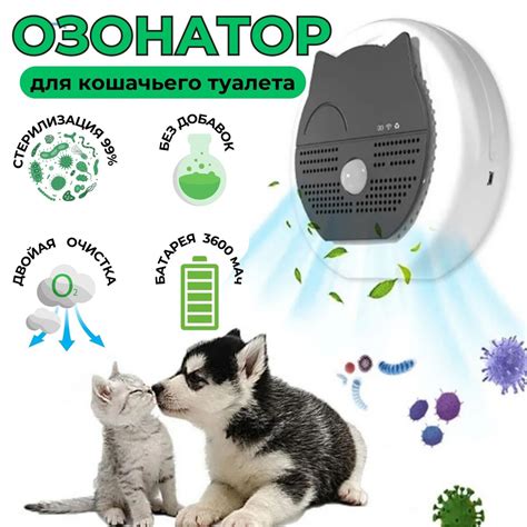 Удаление запаха