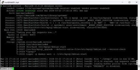 Удаление MariaDB в Ubuntu: пошаговая инструкция