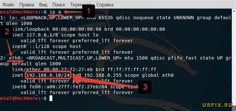 Узнайте IP-адрес сервера