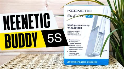 Усилитель Keenetic Buddy 5: Подробная настройка