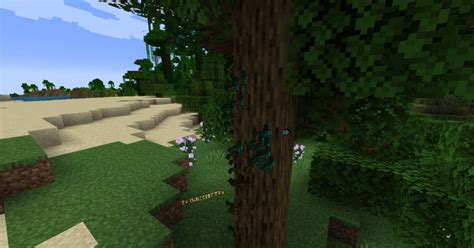 Ускорение работы Minecraft: подсказки по очистке папки
