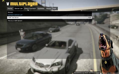 Установите модификацию Multiplayer