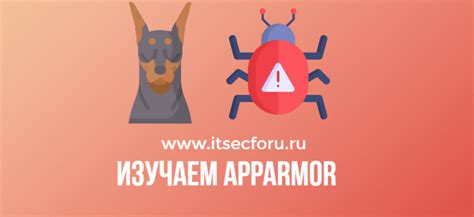 Установка и использование
