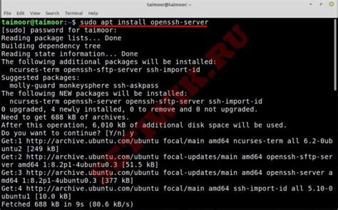 Установка SSH в Linux