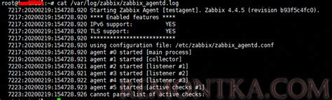 Установка Zabbix Agent на Linux Ubuntu: подробная инструкция
