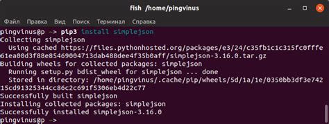 Установка pip