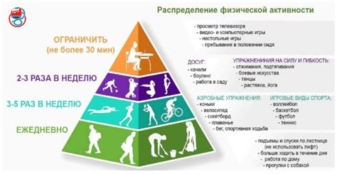 Физическая активность и макрофаги
