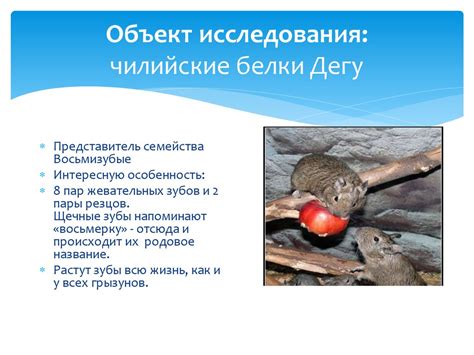 Характеристики поведения самок