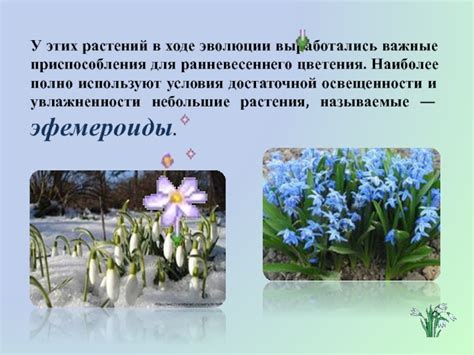 Цель эволюции цветения