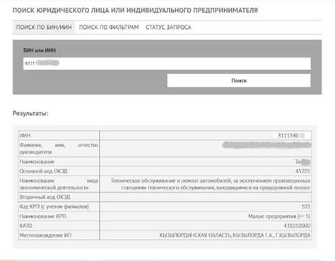 Шаг 2: Поиск кода ОКЭД по БИН в ТОО