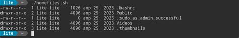 Шаг 4: Написать скрипт на языке Bash